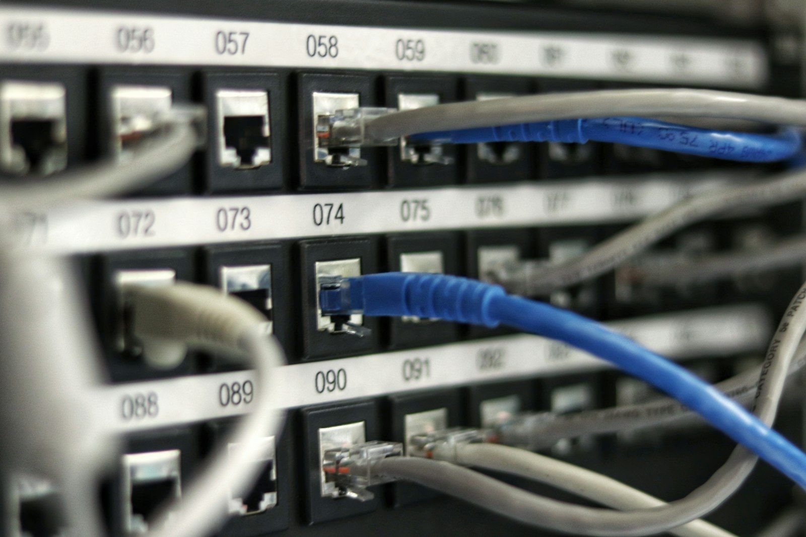 Panel de parcheo de red con cables RJ45 conectados a puertos numerados